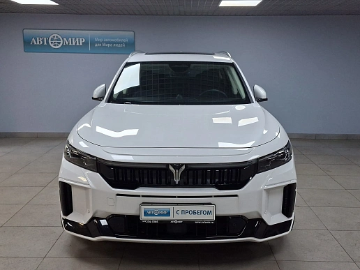 Купить Воя Фри 2023г.