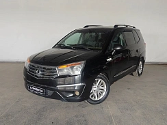 Купить СсанджЁнг Ставик 2013г.