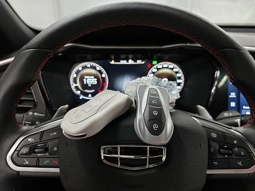 Купить Джили Туджелла 2024г.