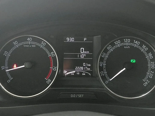 Купить Шкода Рапид 2019г.