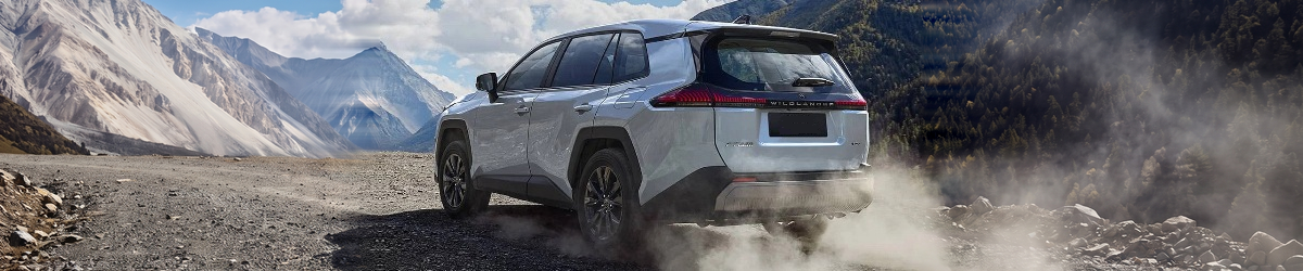 Toyota Wildlander